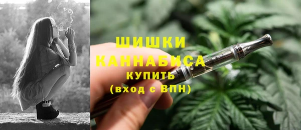 гидра Пересвет