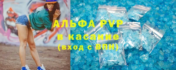 гидра Пересвет