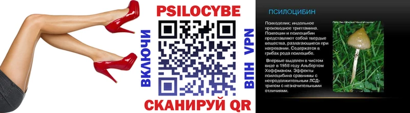 где можно купить   Ак-Довурак  Псилоцибиновые грибы Cubensis 